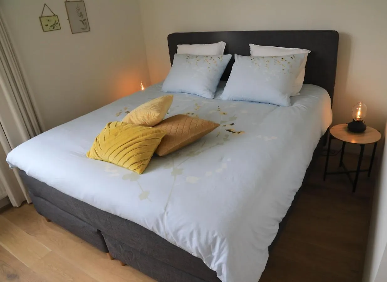 B&B De Zwanebloem Amsterdam Netherlands
